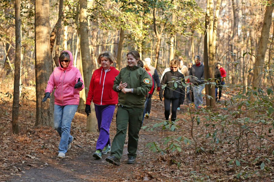Report on Walk in the Woods 2022